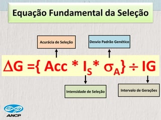 Equação Fundamental da Seleção
G ={ Acc * IS* A}  IG
Acurácia de Seleção
Intensidade de Seleção
Desvio Padrão Genético
Intervalo de Gerações
 