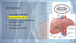 PATOGENIA
1. Causas biliares (40-60%)
2. Causas portales (20-25%)
3. Causas extradigestivas arteriales o
hematogena (10%)
4. Por contiguidad
5. Criptogénicas (10-20%)
 