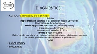 DIAGNOSTICO
• CLINICO:"anamnesis y examen fisico"
Palidez
Hepatomegalia dolorosa a la palpación media y profunda
Hiperestesia e hiperbaralgesia
Dolor epigástrico (absceso en lóbulo izquierdo)
Hipoventilación derecha y
ruidos respiratorios disminuidos
Ictericia poco frecuente
Datos de alarma: signo de “rebote” peritoneal, rigidez abdominal, ausencia
de ruidos peristálticos y frote pleural y pericárdico
Fiebre
• LABORATORIO:
• IMAGENES:
 