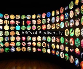 ABCs of Biodiversity

 