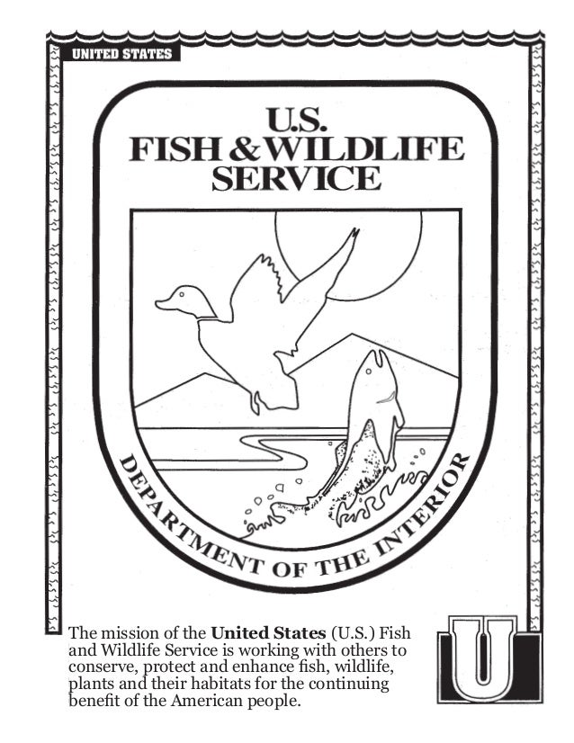 conserve and protect fish conserve and protect fish