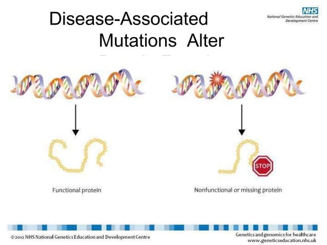 ABCs of Genetics.pptx | Genetics | Science