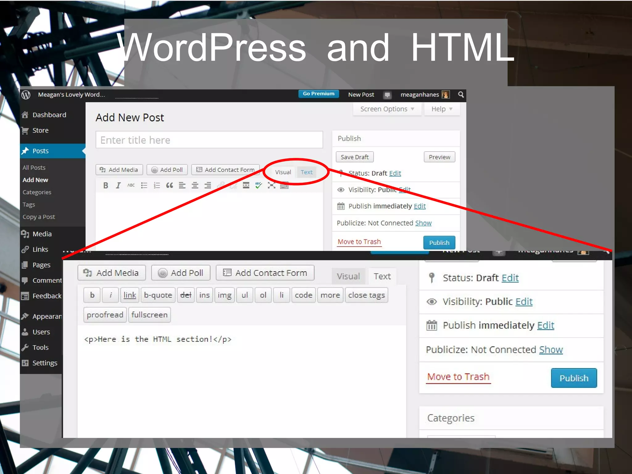 WordPress and HTML
 