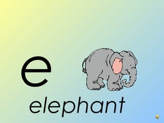 eelephant
 