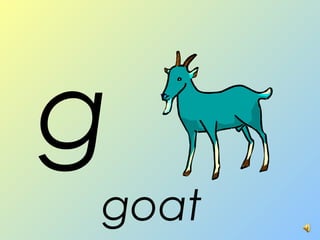 g
goat
 