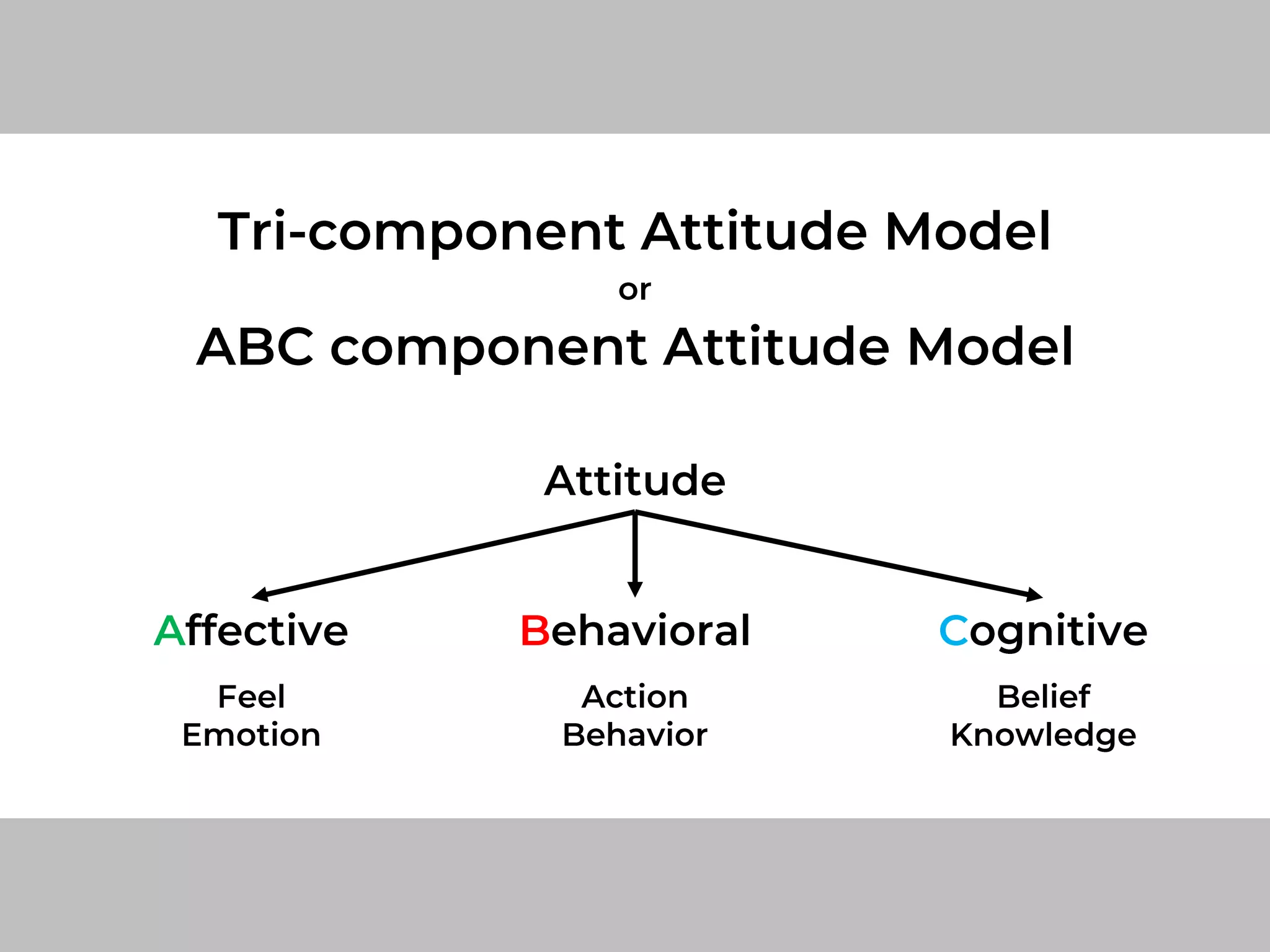 ABC Tri component model of Attitude.