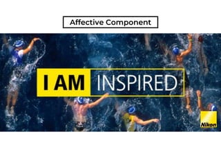 ABC Tri component model of Attitude. | PPT