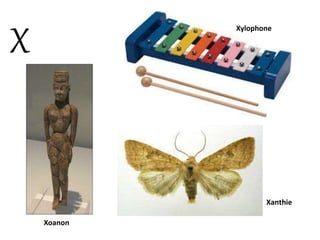 X
Xylophone
Xanthie
Xoanon
 