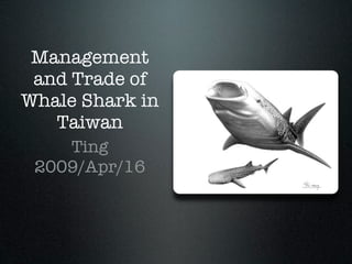 Management
 and Trade of
Whale Shark in
   Taiwan
    Ting
 2009/Apr/16
 
