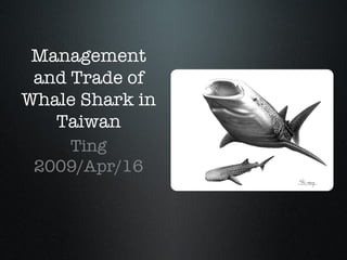 Management and Trade of Whale Shark in Taiwan ,[object Object],[object Object]