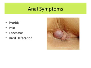 Anal Symptoms
• Pruritis
• Pain
• Tenesmus
• Hard Defecation
 