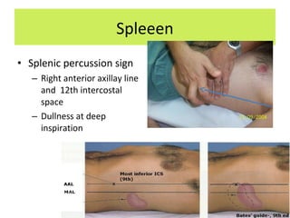 Spleeen
• Splenic percussion sign
– Right anterior axillay line
and 12th intercostal
space
– Dullness at deep
inspiration
 