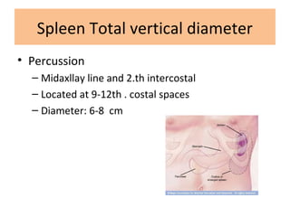 Spleen Total vertical diameter
• Percussion
– Midaxllay line and 2.th intercostal
– Located at 9-12th . costal spaces
– Diameter: 6-8 cm
 