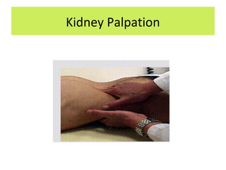 Kidney Palpation
 