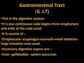 Gastrointestinal Tract
(G .I.T)
•This is the digestive system.
•It is one continuous tube begins from orogharynx
and ends at the anal canal.
•It is consist of :-
•Oropharynx- esophagus-stomach-small intestine-
large intestine-anal canal.
•Accessory digestive organs are :-
•Liver- gallbladder -spleen-pancreas.
 