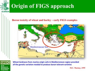 Searching for traits in PGR collections using Focused Identification of Germplasm Strategy