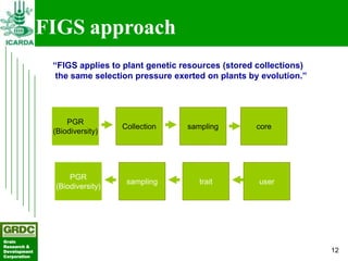 Searching for traits in PGR collections using Focused Identification of Germplasm Strategy