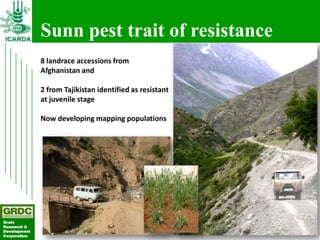 Searching for traits in PGR collections using Focused Identification of Germplasm Strategy