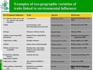 Searching for traits in PGR collections using Focused Identification of Germplasm Strategy