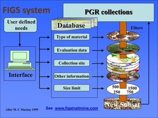 Searching for traits in PGR collections using Focused Identification of Germplasm Strategy