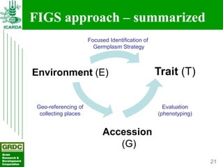 Searching for traits in PGR collections using Focused Identification of Germplasm Strategy