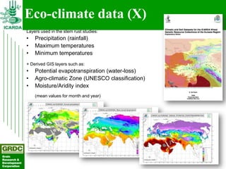 Searching for traits in PGR collections using Focused Identification of Germplasm Strategy