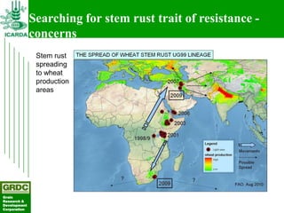 Searching for traits in PGR collections using Focused Identification of Germplasm Strategy