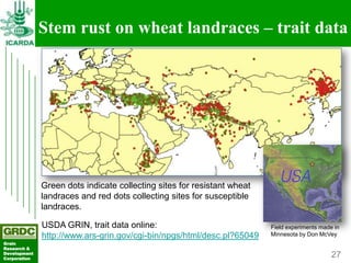 Searching for traits in PGR collections using Focused Identification of Germplasm Strategy