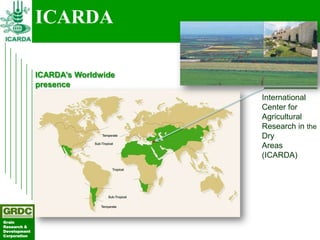 Searching for traits in PGR collections using Focused Identification of Germplasm Strategy