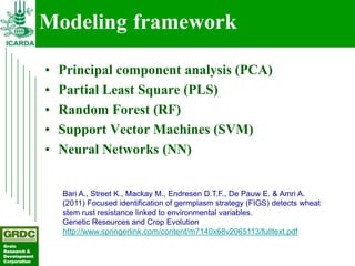 Searching for traits in PGR collections using Focused Identification of Germplasm Strategy