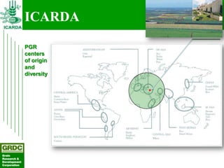 Searching for traits in PGR collections using Focused Identification of Germplasm Strategy