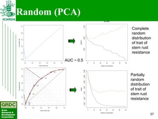 Searching for traits in PGR collections using Focused Identification of Germplasm Strategy