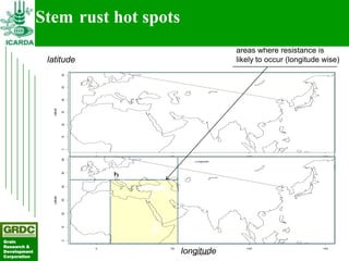 Searching for traits in PGR collections using Focused Identification of Germplasm Strategy