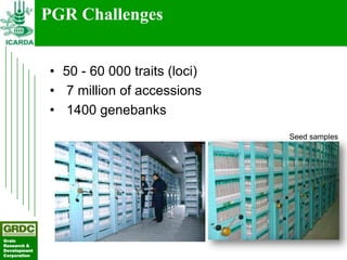 Searching for traits in PGR collections using Focused Identification of Germplasm Strategy