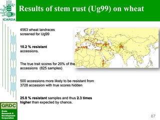 Searching for traits in PGR collections using Focused Identification of Germplasm Strategy