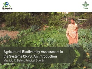 Agricultural Biodiversity Assessment in
the Systems CRPS: An Introduction
Mauricio R. Bellon, Principal Scientist
28/04/2014
 