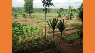ABDD Diaporama