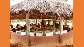 ABDD Diaporama