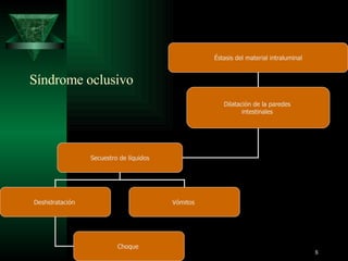 Síndrome oclusivo  Éstasis del material intraluminal Dilatación de la paredes  intestinales  Secuestro de líquidos Deshidratación  Vómitos  Choque  