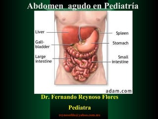 Dr. Fernando Reynoso Flores Pediatra [email_address] Abdomen  agudo en Pediatría 