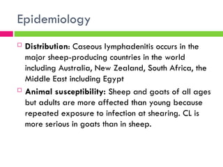 Caceous Comprehensive Overview of Caseous Lymphadenitis in Sheep and Goats | PPT
