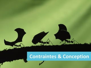 Contraintes & Conception

 