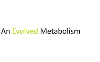 An Evolved Metabolism
 