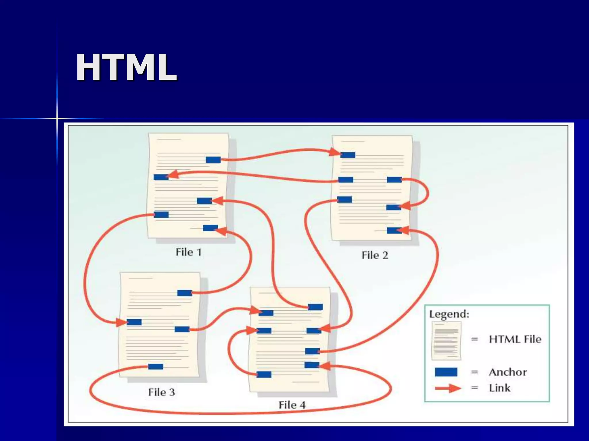HTML
 