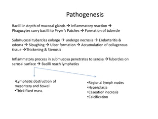 Pathogenesis
Bacilli in depth of mucosal glands  Inflammatory reaction 
Phagocytes carry bacilli to Peyer’s Patches  Formation of tubercle
Submucosal tubercles enlarge  undergo necrosis  Endarteritis &
edema  Sloughing  Ulcer formation  Accumulation of collagenous
tissue Thickening & Stenosis
Inflammatory process in submucosa penetrates to serosa Tubercles on
serosal surface  Bacilli reach lymphatics
•Lymphatic obstruction of
mesentery and bowel
•Thick fixed mass
•Regional lymph nodes
•Hyperplasia
•Caseation necrosis
•Calcification
 