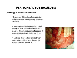PERITONEAL TUBERCULOSIS
Pathology in Peritoneal Tuberculosis
Enormous thickening of the parietal
peritoneum with multiple tiny yellowish
tubercles.
 Dense adhesions in peritoneum and
omentum with content inside as small
bowel looking like abdominal cocoon. It
may precipitate intestinal obstruction.
 Multiple dense adhesions between
bowel loops and between bowel and
peritoneum and omentum
 