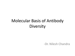 Molecular Basis of Antibody
Diversity
-Dr. Nilesh Chandra
 