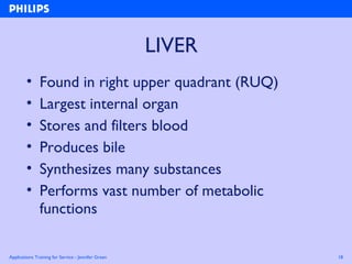 Applications Training for Service - Jennifer Green 18
LIVER
• Found in right upper quadrant (RUQ)
• Largest internal organ
• Stores and filters blood
• Produces bile
• Synthesizes many substances
• Performs vast number of metabolic
functions
 