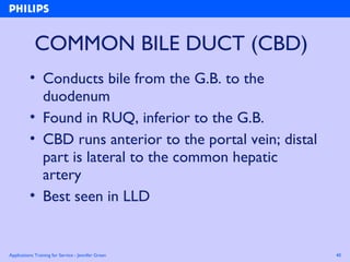 Applications Training for Service - Jennifer Green 40
COMMON BILE DUCT (CBD)
• Conducts bile from the G.B. to the
duodenum
• Found in RUQ, inferior to the G.B.
• CBD runs anterior to the portal vein; distal
part is lateral to the common hepatic
artery
• Best seen in LLD
 