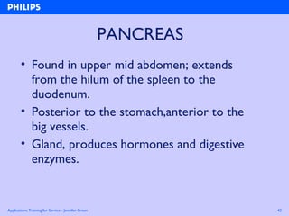 Applications Training for Service - Jennifer Green 42
PANCREAS
• Found in upper mid abdomen; extends
from the hilum of the spleen to the
duodenum.
• Posterior to the stomach,anterior to the
big vessels.
• Gland, produces hormones and digestive
enzymes.
 